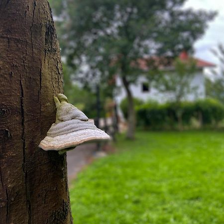 Agroturismo Kostegi Urnieta Esterno foto
