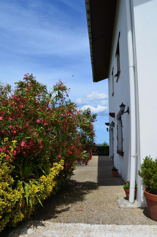 Agroturismo Kostegi Urnieta Esterno foto